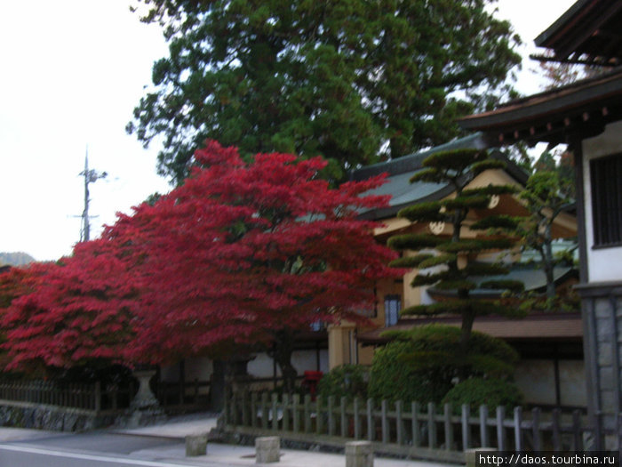 Коя-сан: тантрический центр в горах Префектура Вакаяма, Япония
