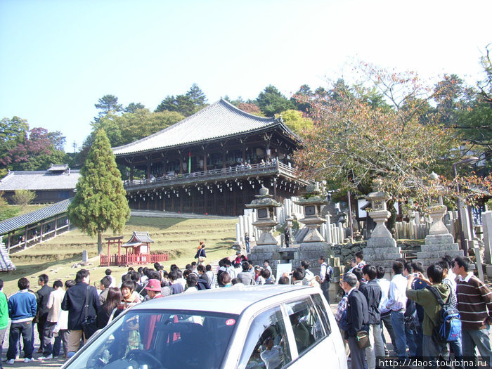 Нара: Февральский дворец Нара, Япония