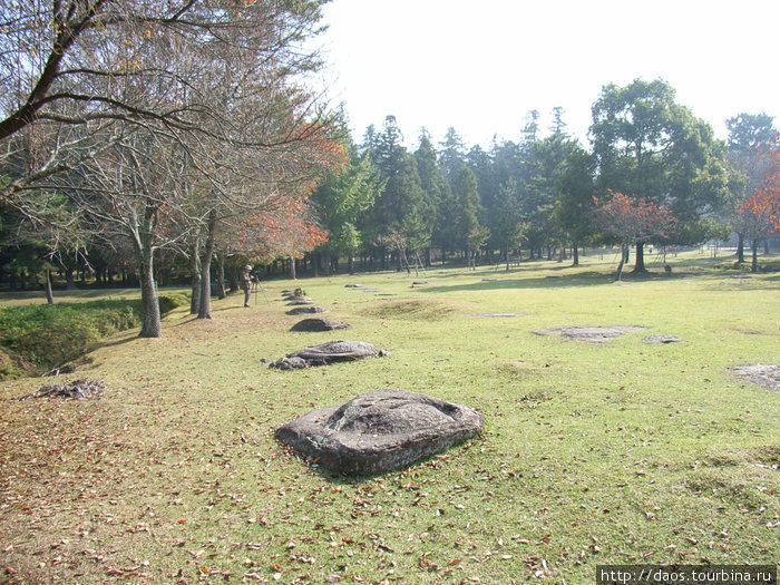 Нара: Парк (Нара-коэн) Нара, Япония