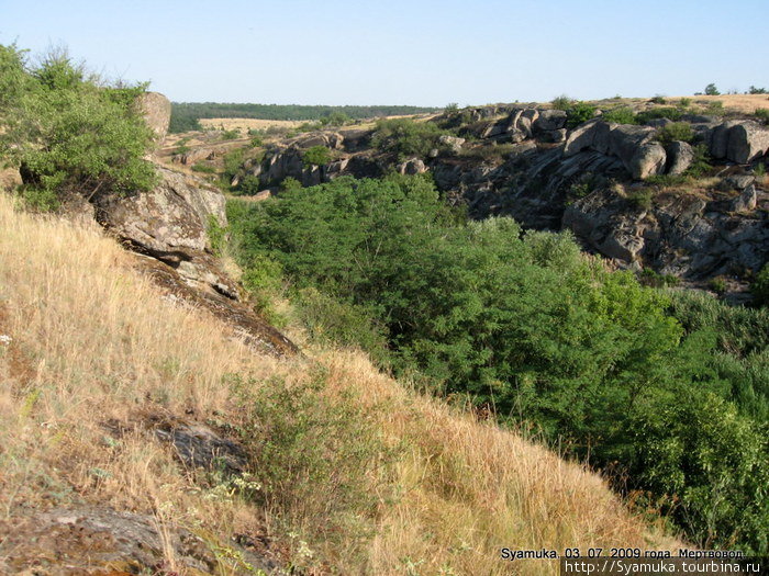 Русло поросло даже большими деревьями акации. Братское, Украина