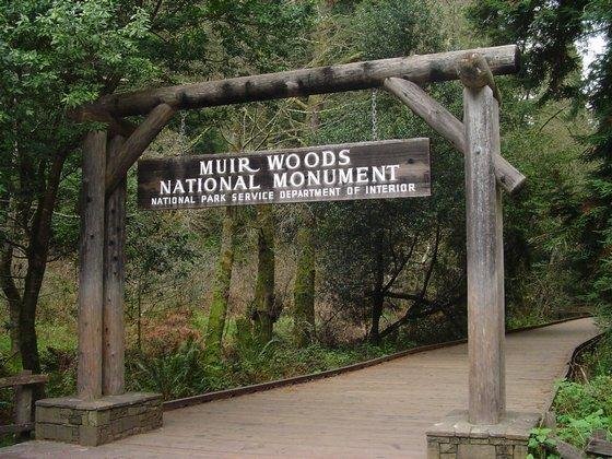 Заповедник Мьюир Вудс / Muir Woods National Monument