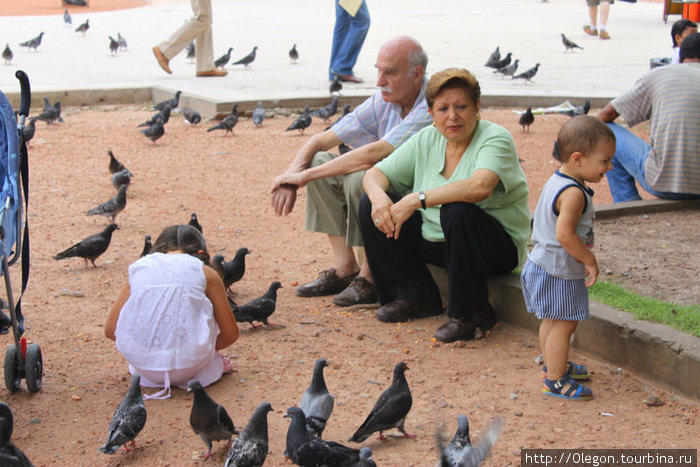 Можно выгулять детей в папрк, чтоб они погоняли голубей Буэнос-Айрес, Аргентина
