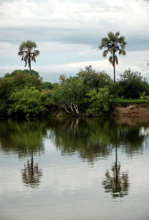 Круиз по реке Замбези
