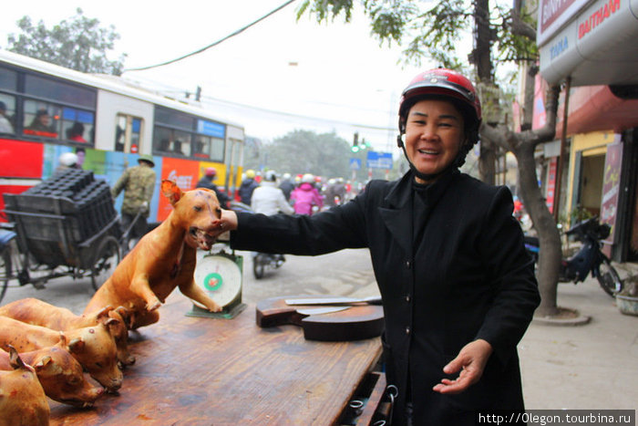 Если дёрнуть за ухо, собачка тоже улыбнётся Вьетнам