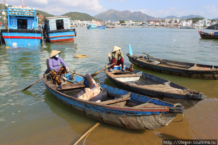 Две рыбины в лодке, приглядитесь, не узнаете ли вы их название Нячанг, Вьетнам