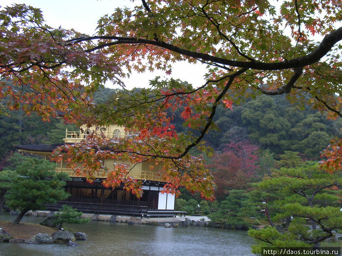 Киото дзэновское-2:  Золотой павильон