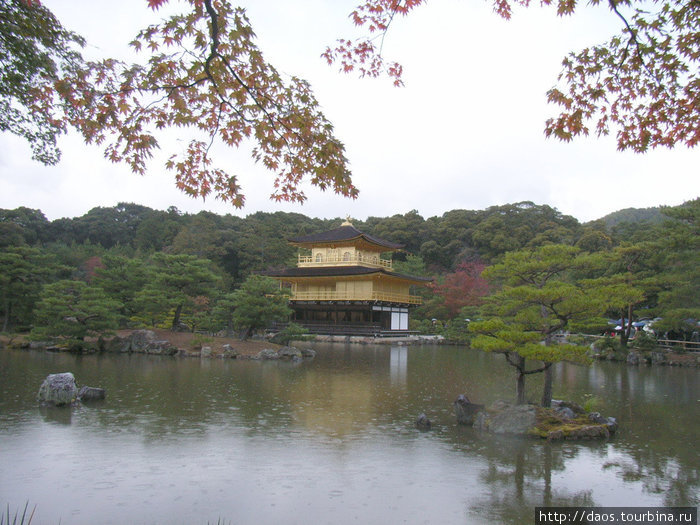 Киото дзэновское-2:  Золотой павильон Киото, Япония