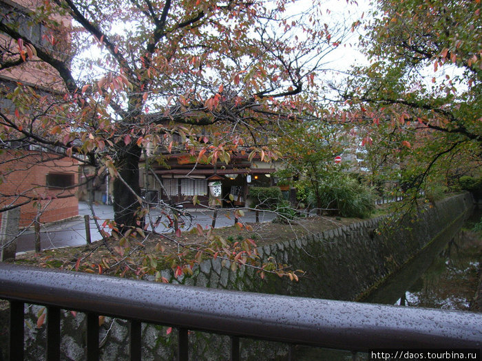 Киото: Философский путь Киото, Япония