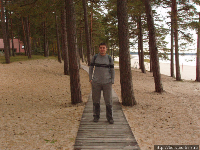 даже поздним сентябрём песчаные дюны не теряют своего очарования Вызу, Эстония