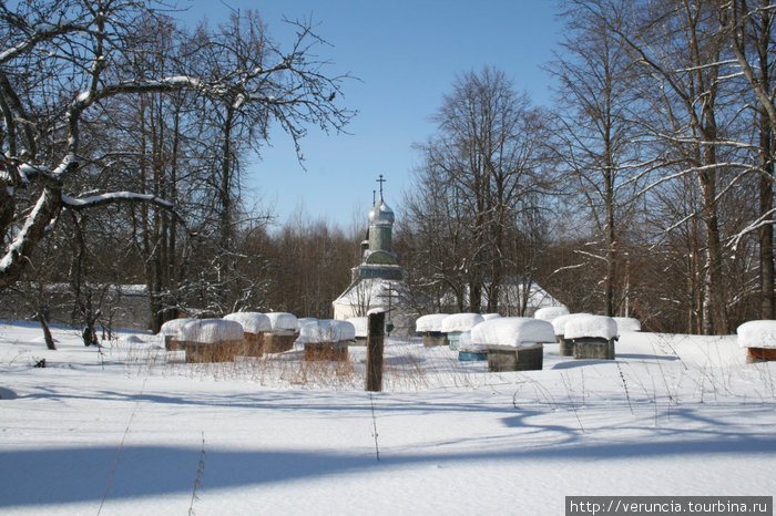 Пасека. Тихвин, Россия