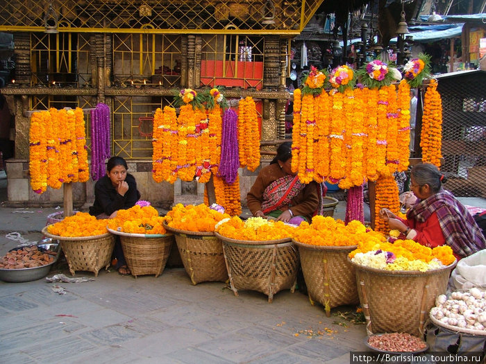 Цветочный рынок. Непал
