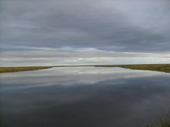 Река Кара, (Сибирчата) Усть-Кара, Россия