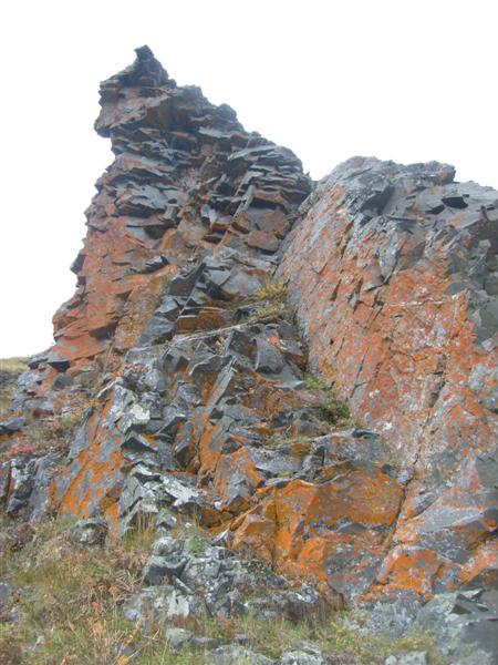 Красные лишайники на скалах , район Усть Кары. Усть-Кара, Россия