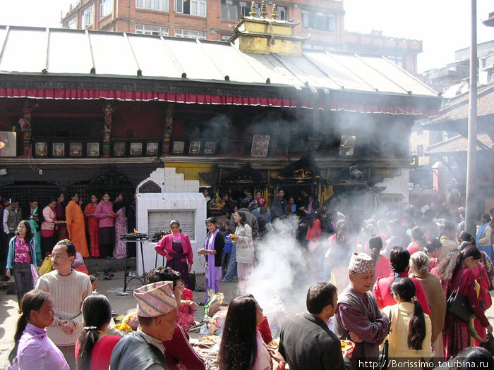Ритуал жертвоприношения. Жертвами пали петухи. Непал