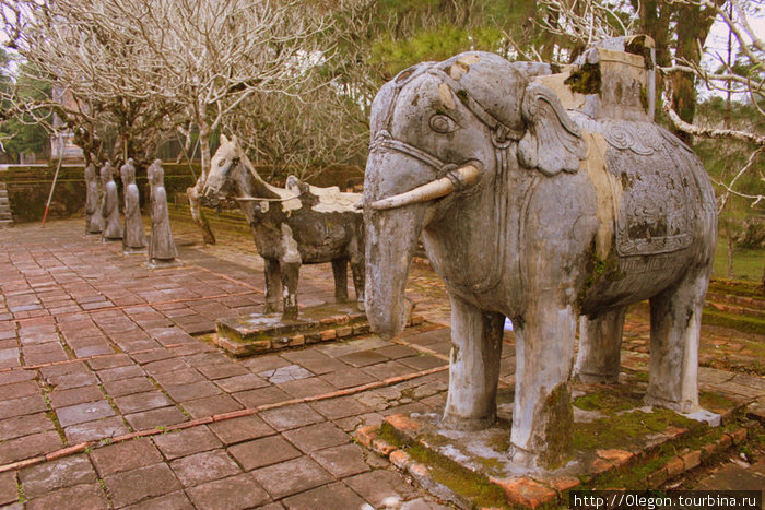 Монахи, ослик и слоник Хюэ, Вьетнам
