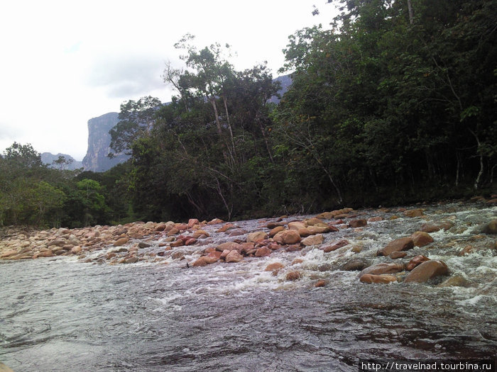 По рекам Каррао и Чурун к сальто Анхель Национальный парк Канайма, Венесуэла