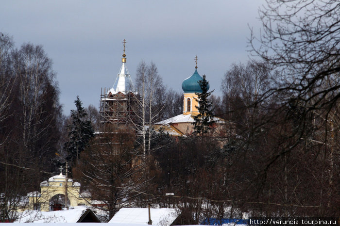 Вид на купола храмов из-за стен монастыря. Тихвин, Россия
