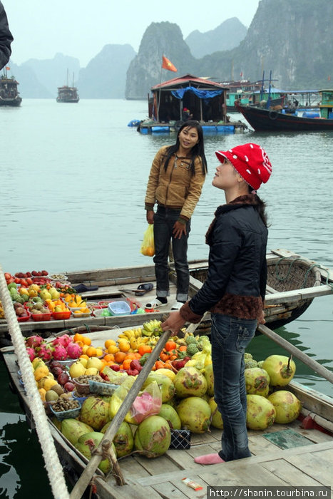 Торговки фруктами Халонг бухта, Вьетнам