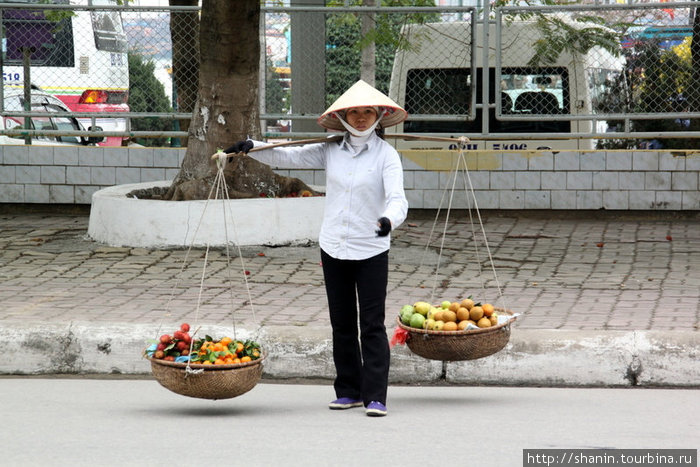 Торговка фруктами у причала туристических судов Халонг бухта, Вьетнам