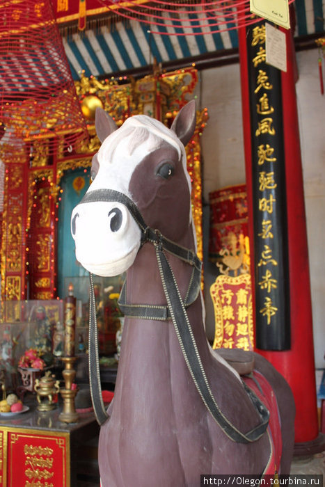 Изображения животных приветствуются в храмах Вьетнам