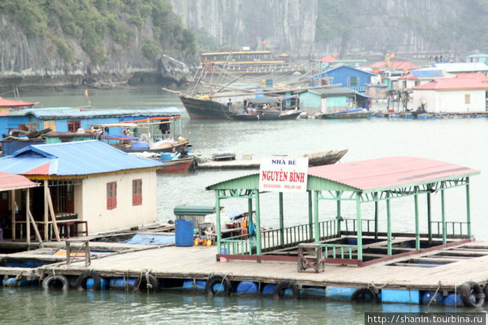 Плавучая рыбацкая деревня Халонг бухта, Вьетнам