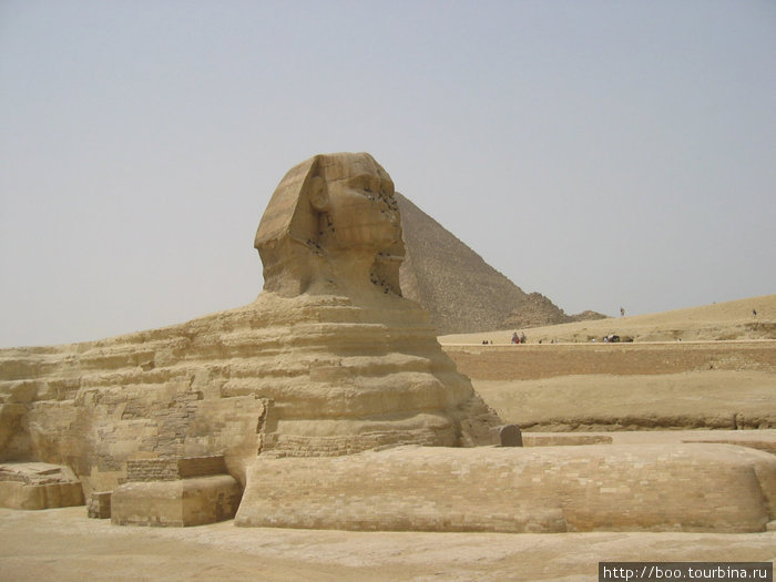 сфинкс величаво вытянул лапы Гиза, Египет