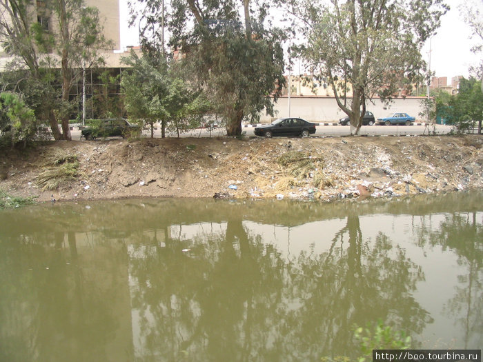 В придорожную канаву выбрасывают мусор, ну, или в крайнем случае, труп осла (видели сами. честно-честно). Гиза, Египет