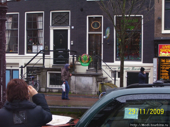 Просто доми , а зеленая эмблема — здесь есть что курнуть Амстердам, Нидерланды