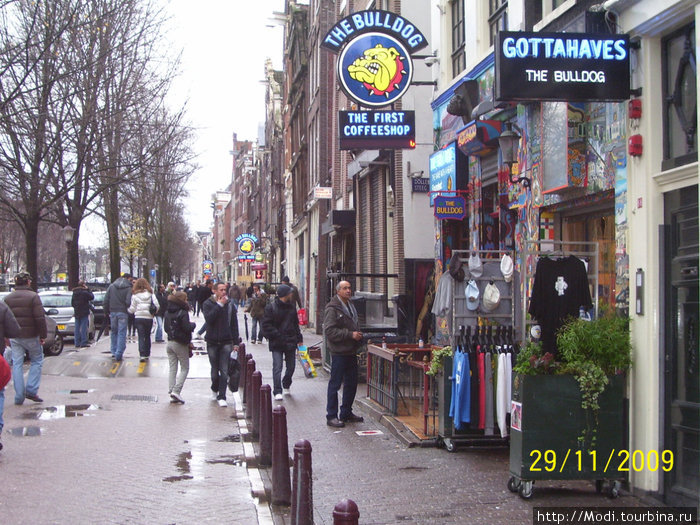 Здесь все начиналось- первый магазин Бульдог в котором  начали продавать легкие наркотики Амстердам, Нидерланды