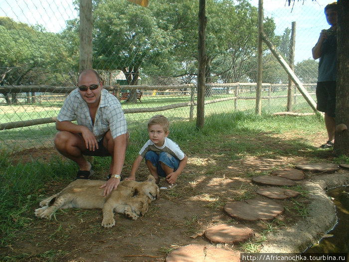 Парк львов Йоханнесбург, ЮАР