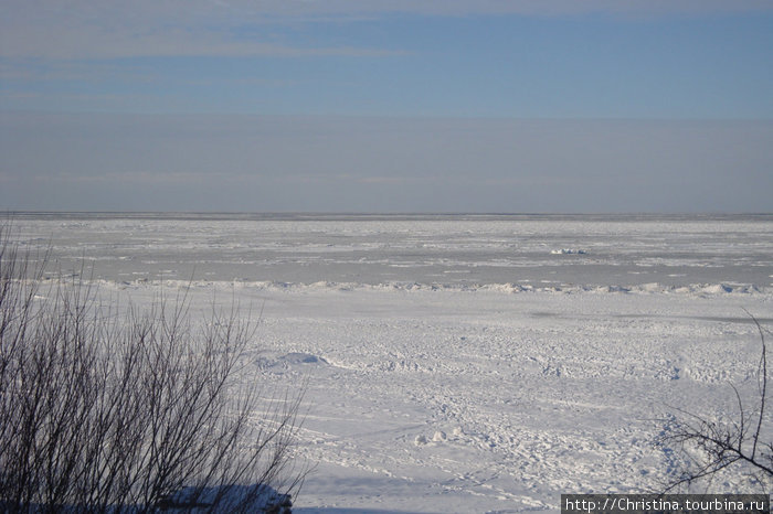 Вот так выглядит Юрмальский пляж зимой. Летом тут явно больше посетителей :-) Юрмала, Латвия