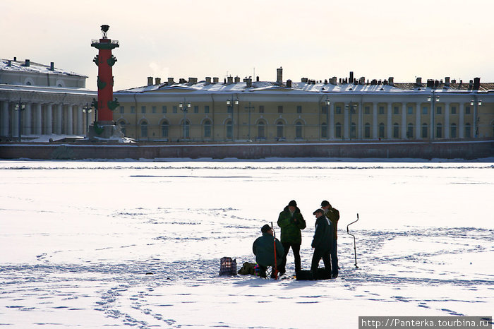 Петропавловка в погожий денек Санкт-Петербург, Россия