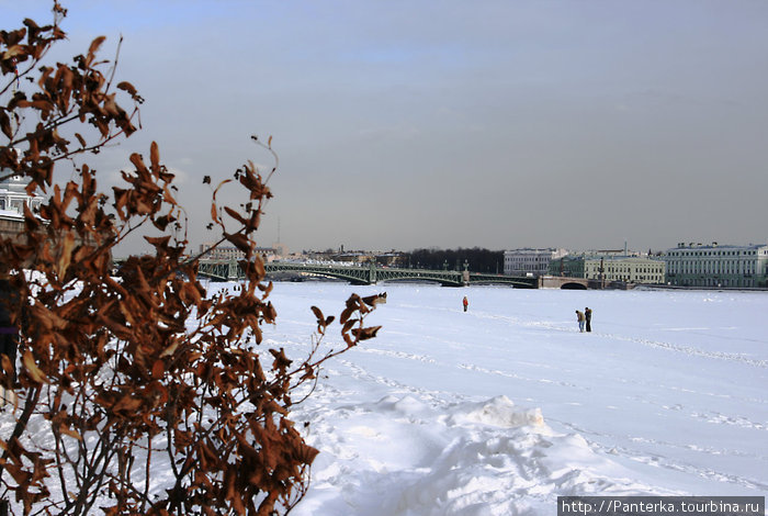 Петропавловка в погожий денек Санкт-Петербург, Россия