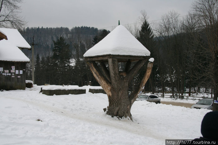 Зимние Карпаты в центре Европы. Яремче, Украина