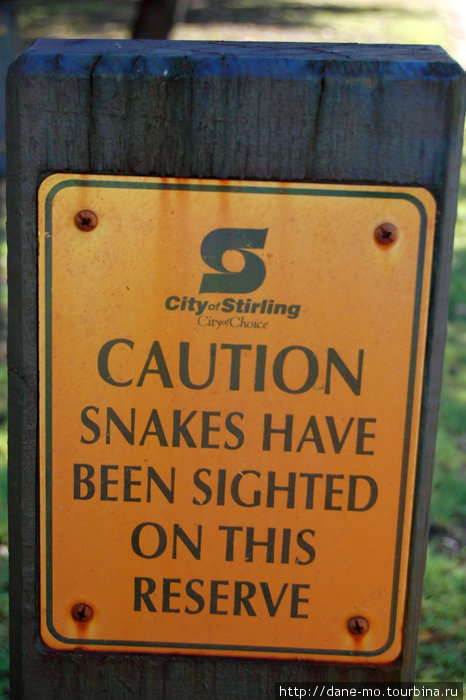 Осторожно, змеи Перт, Австралия