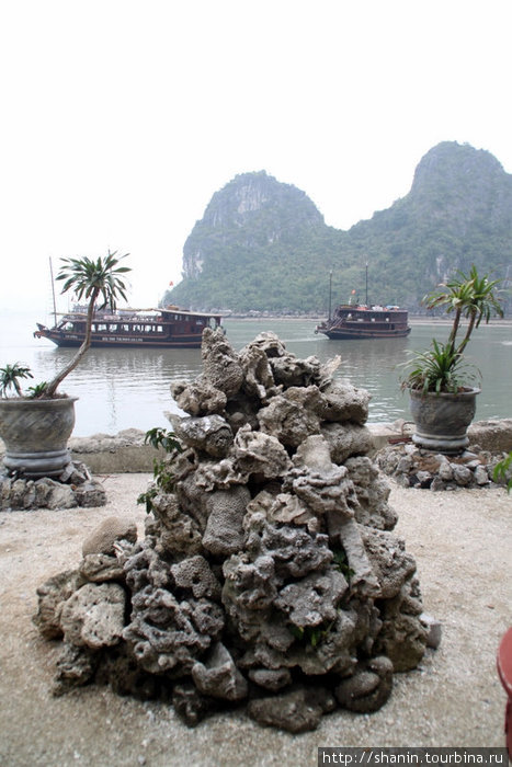 Вид с острова с пещерой  на бухту Халонг Халонг бухта, Вьетнам
