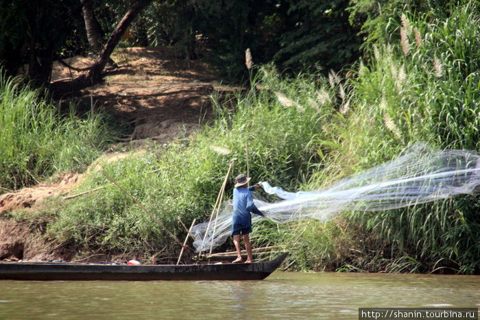 Рыбак с сетью Дельта реки Меконг, Вьетнам