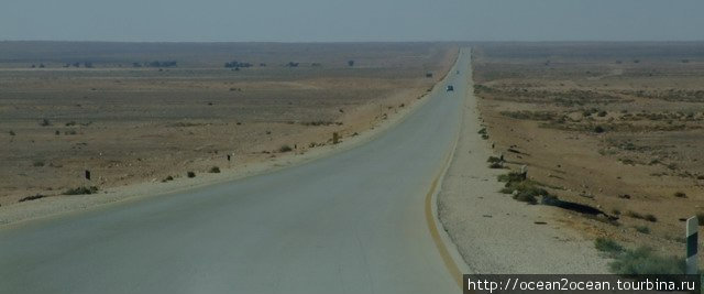 В Ливии очень мало сельскохозяйственных угодий. В основном, её территория – это пустыня и полупустыня. Ливия
