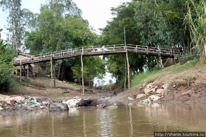 Мост через один из притоков Меконга Дельта реки Меконг, Вьетнам