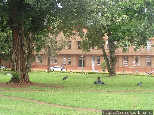 Отдыхающие Кампала, Уганда