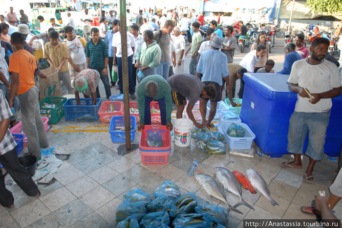 Банановый и рыбный рынки