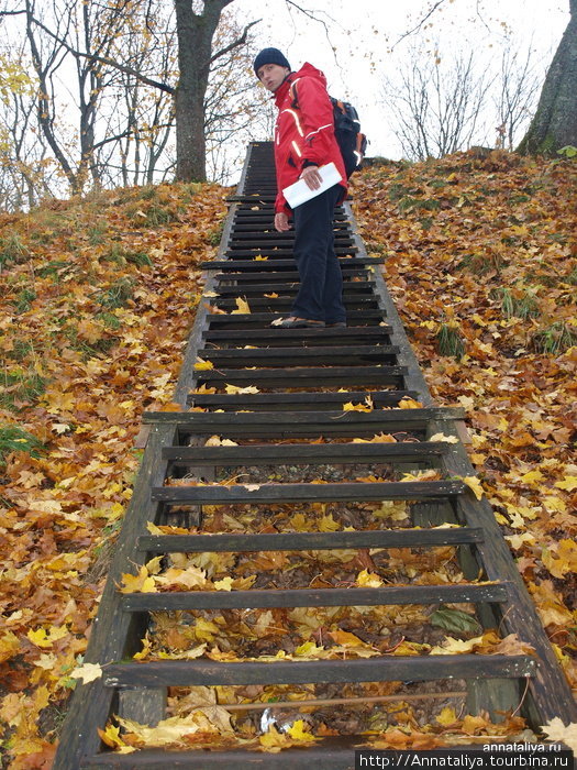 Мы даже поднялись на гору жертвоприношений, чуть ли не по колено засыпанную опавшими осенними листьями. Тракай, Литва
