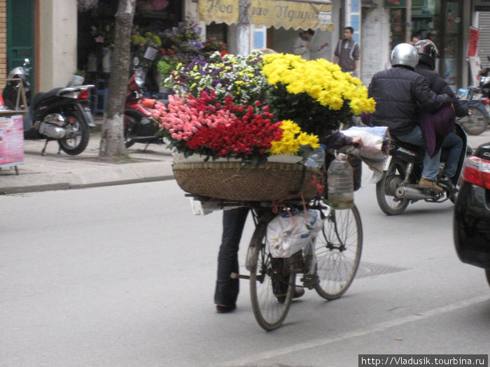 Прогулки по столице Вьетнама Ханой, Вьетнам