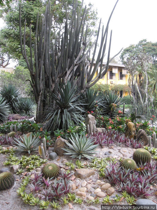 Ботанический сад и зоопарк Хошимин, Вьетнам