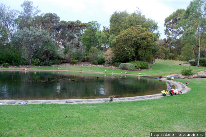 Озеро с утками и табличками по периметру Перт, Австралия
