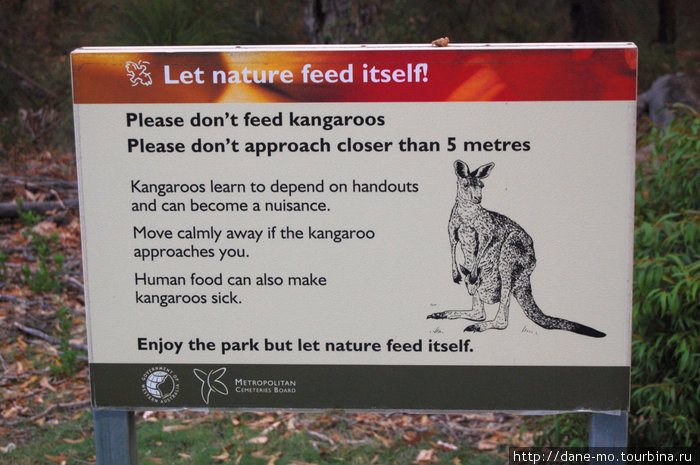 Эта табличка призывает посетителей парка не кормить кенгуру Перт, Австралия