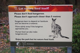 Эта табличка призывает посетителей парка не кормить кенгуру