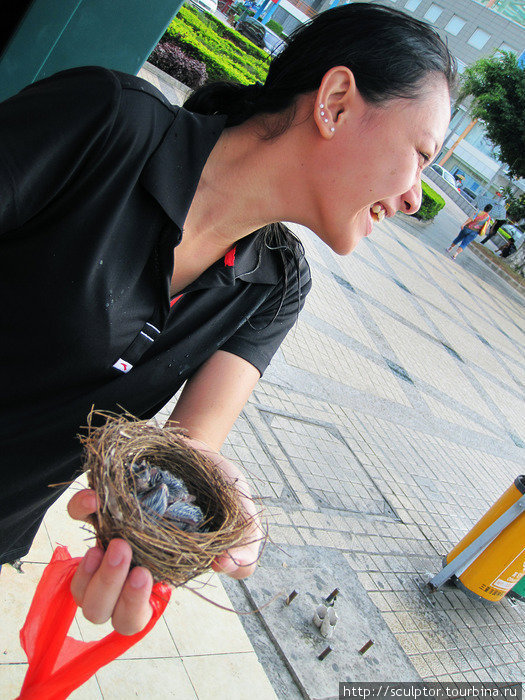 У девушки гнездо с птенцами, даже не представляю куда она его несет... Хотя то что они там едят... даже подумать страшно :) Санья, Китай