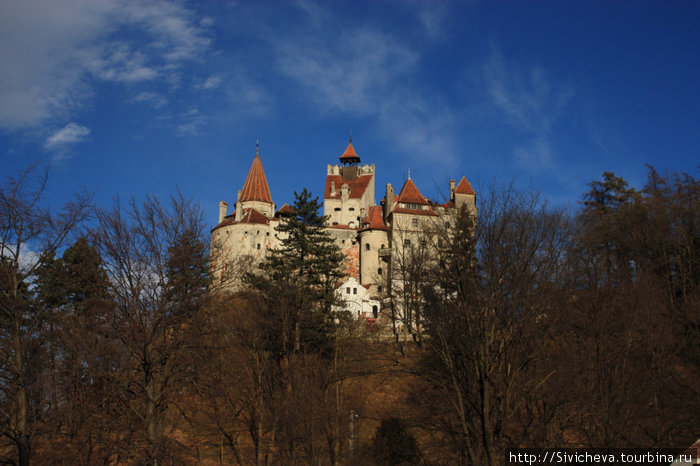 Замок Бран или замок графа Дракулы Брашов, Румыния