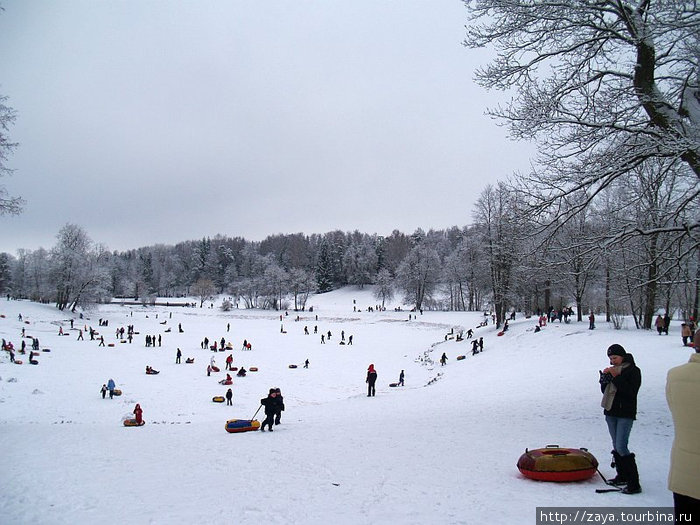 Павловск зимой